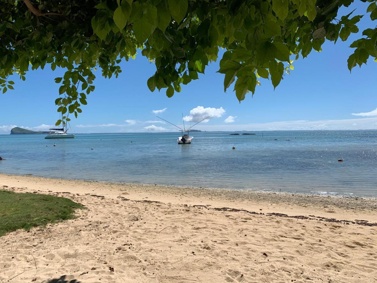 Hébergement de vacances Luxury Beachfront With Private Pool - Jolly's Rock Calodyne